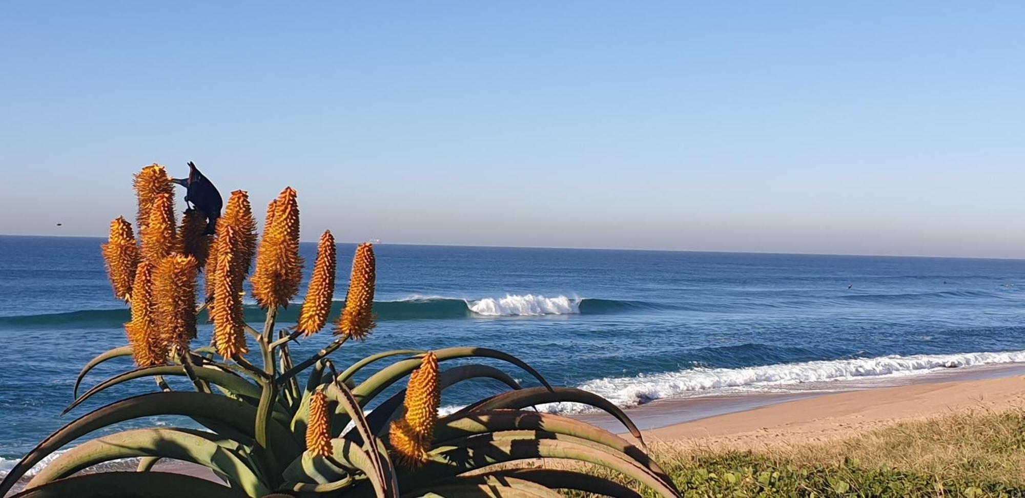 401 Stunning Sea Views